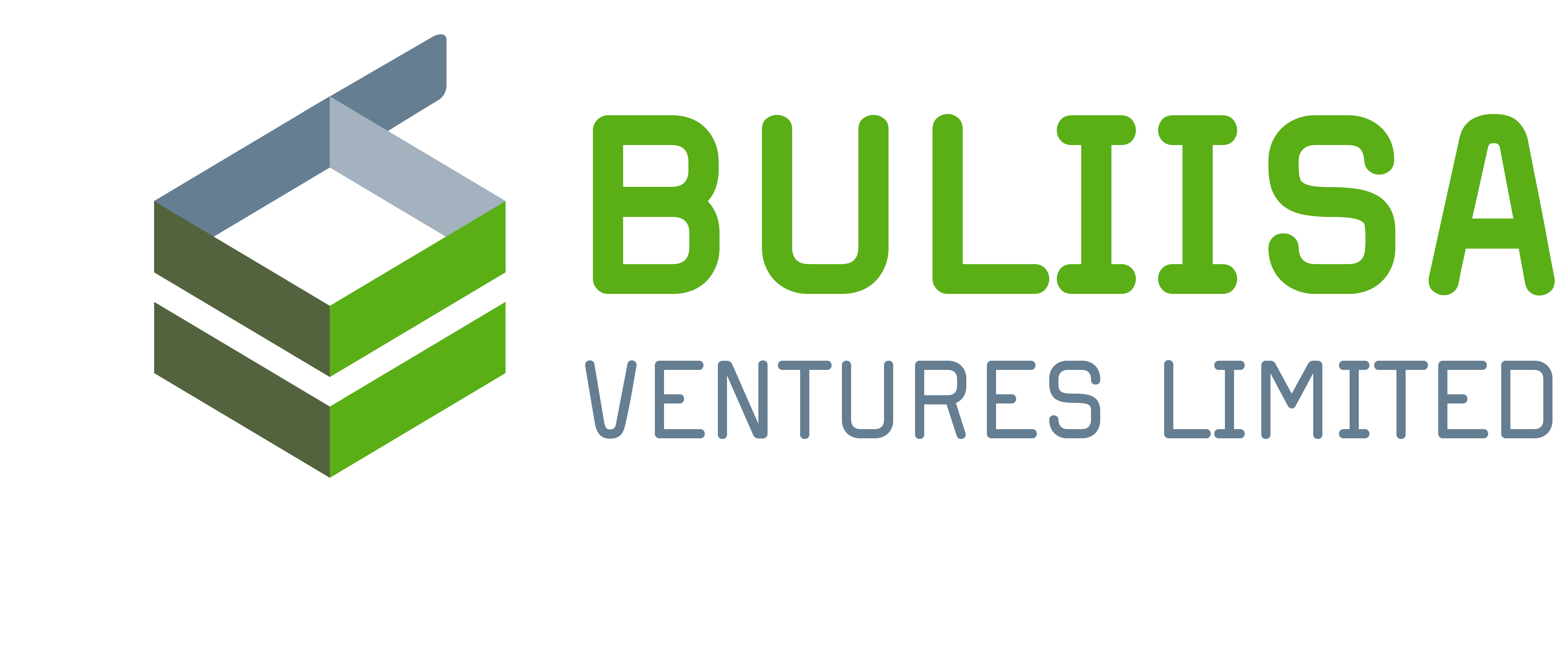 Buliisa Ventures Limited