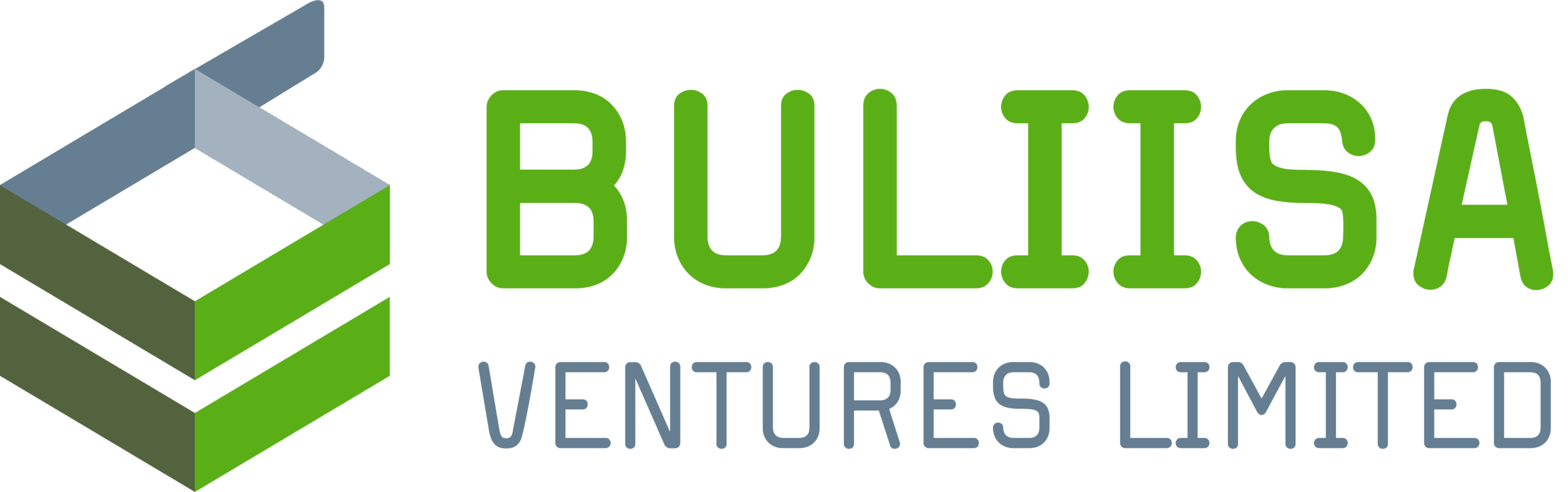 Buliisa Ventures Limited